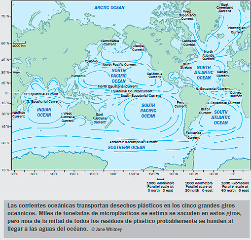 Contaminación plástica en el mar y seguridad en los alimentos marinos